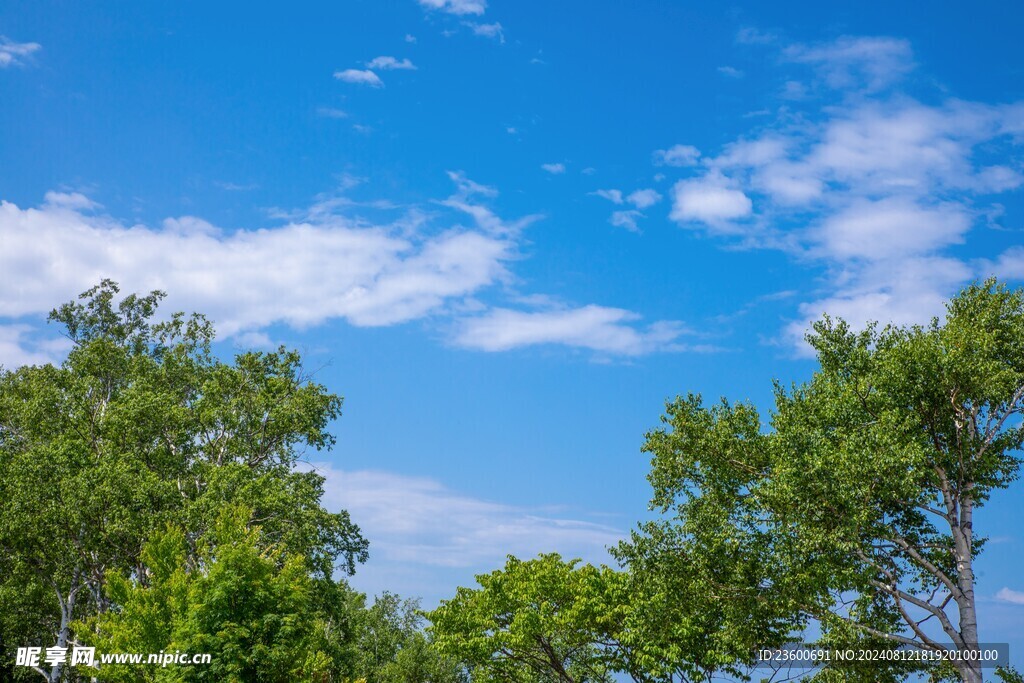 蓝色天空