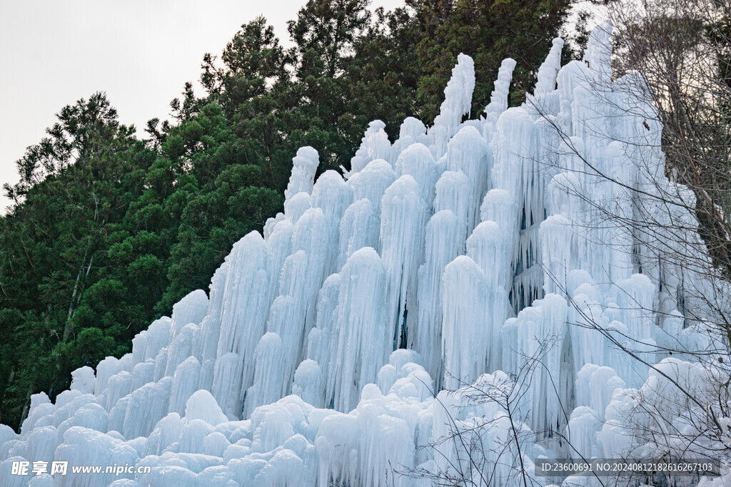 雪景