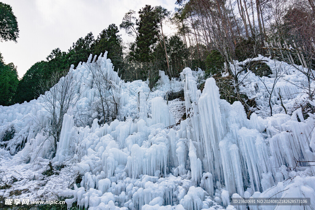 雪景