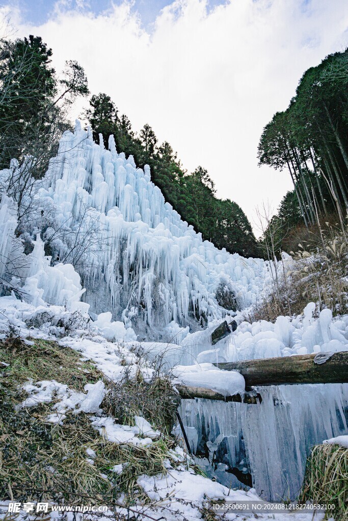 雪景