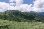 山景