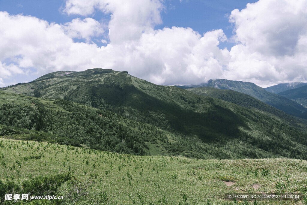 山景