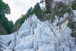 雪景
