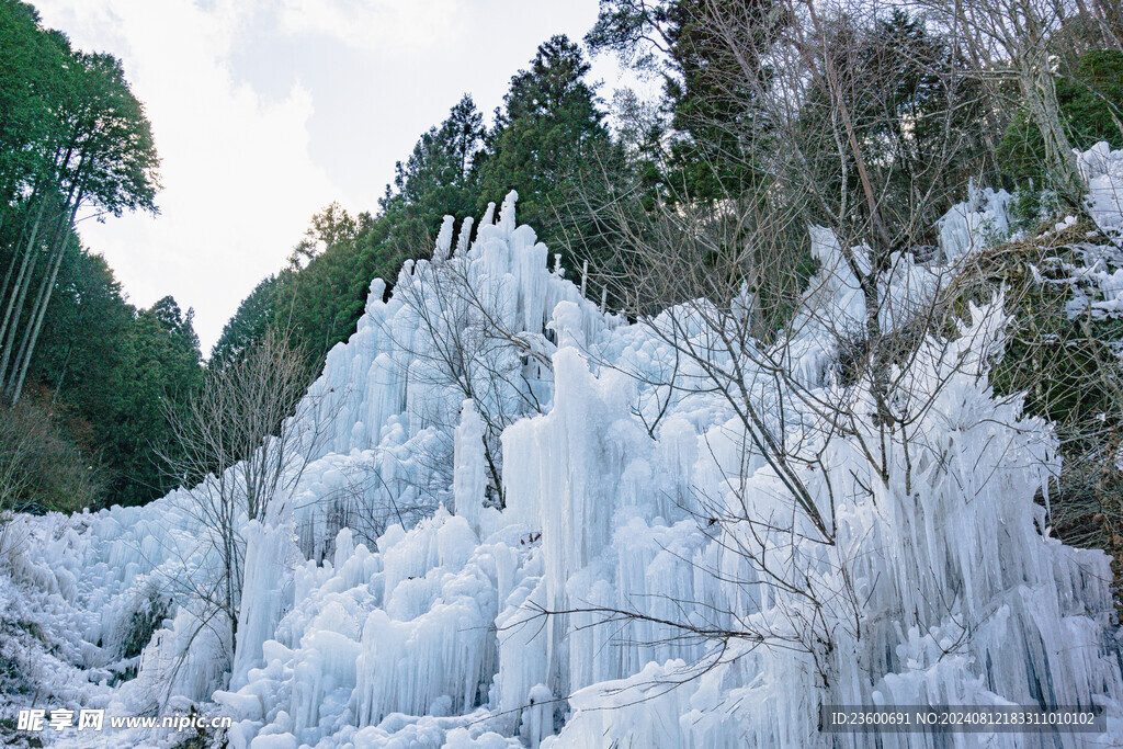 雪景