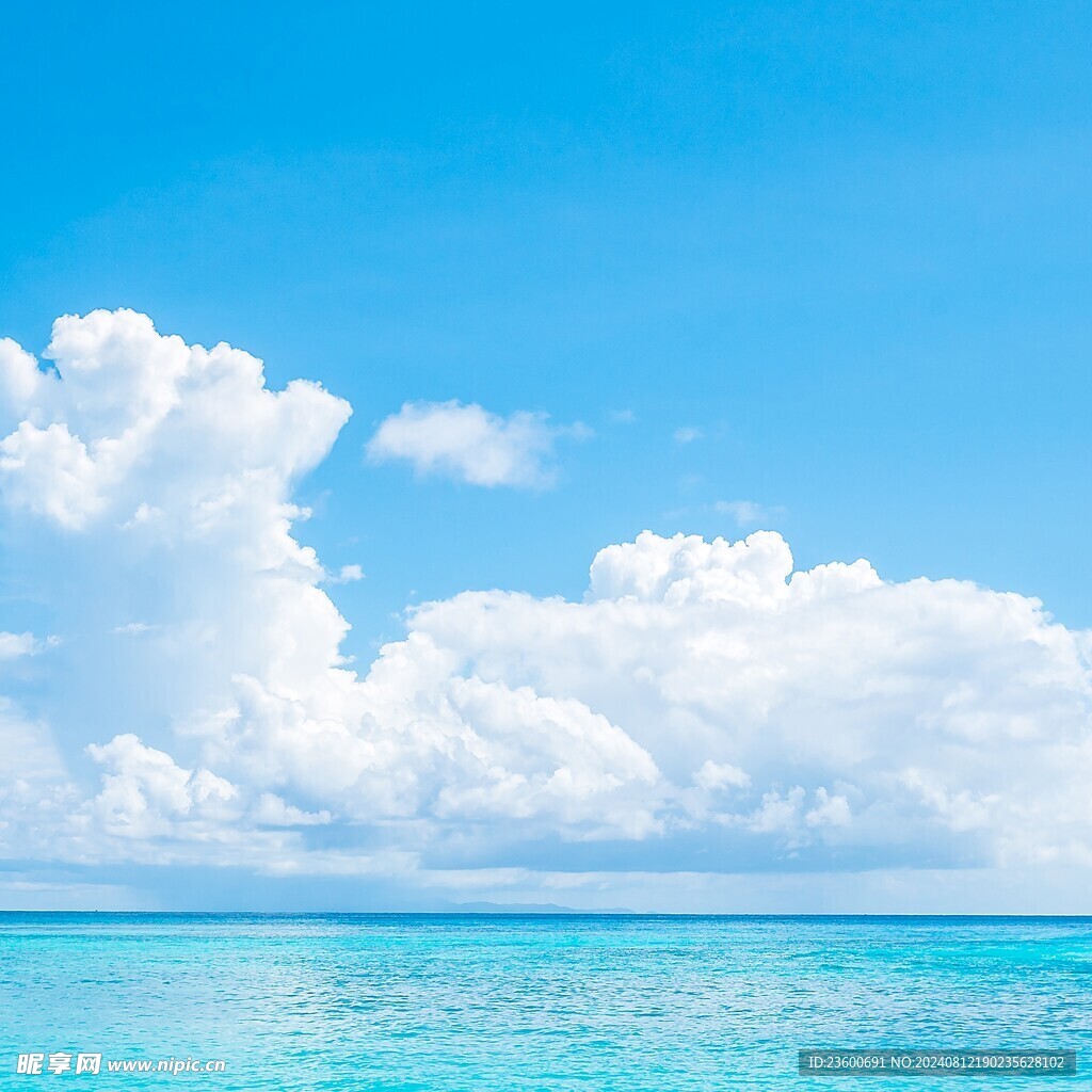 大海