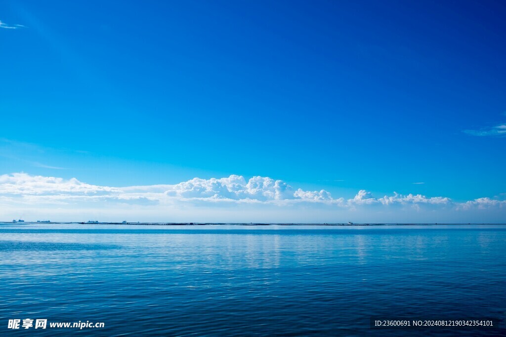 大海