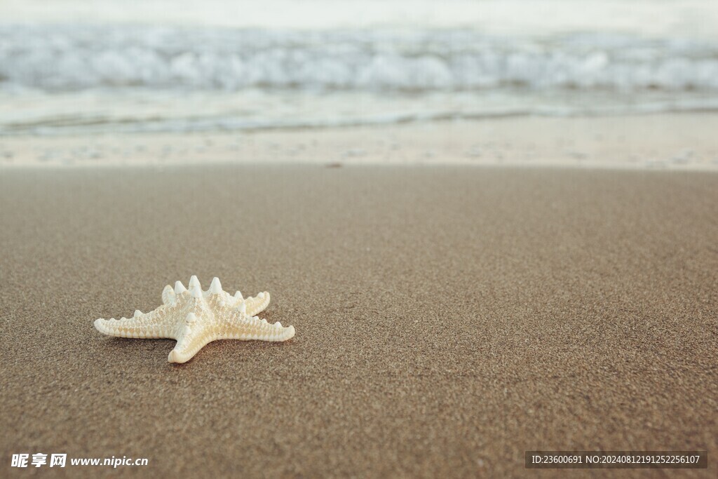 海边
