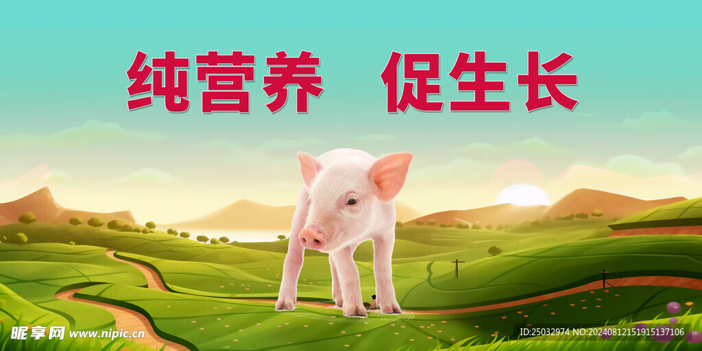 猪 海报