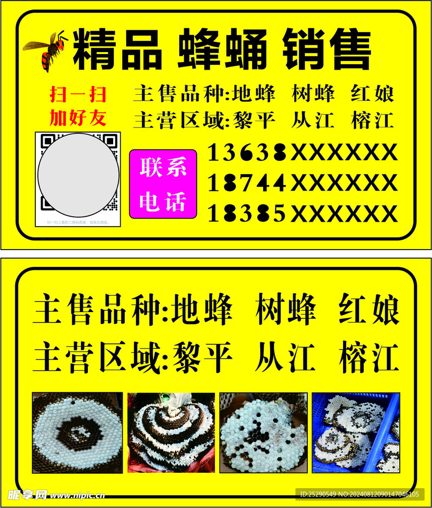 精品蜂蛹   马蜂名片