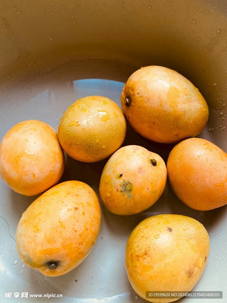 芒果 