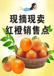 现摘现卖红橙销售点