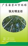 名片卡片