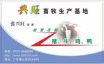 名片模板 
