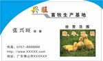 名片模板