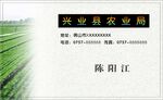 名片模板