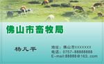 名片模板