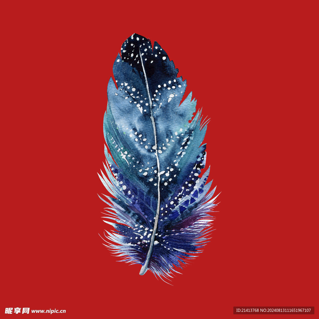 彩色羽毛素材