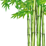 端午节插画
