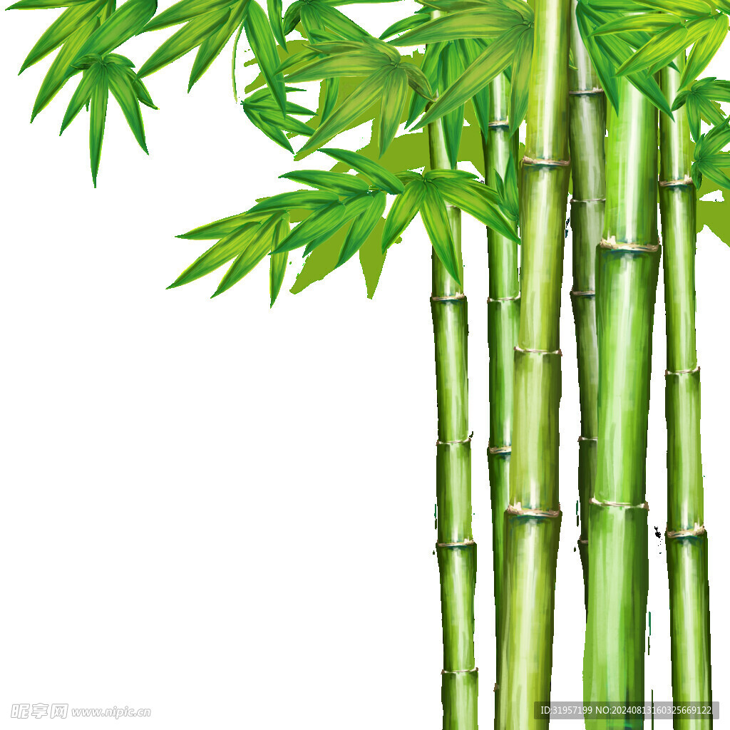 端午节插画