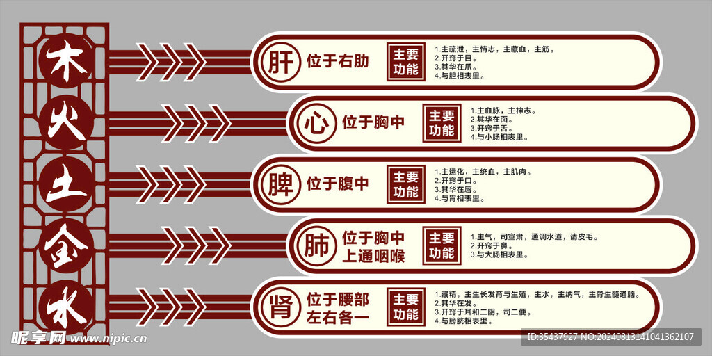 中医五行五脏