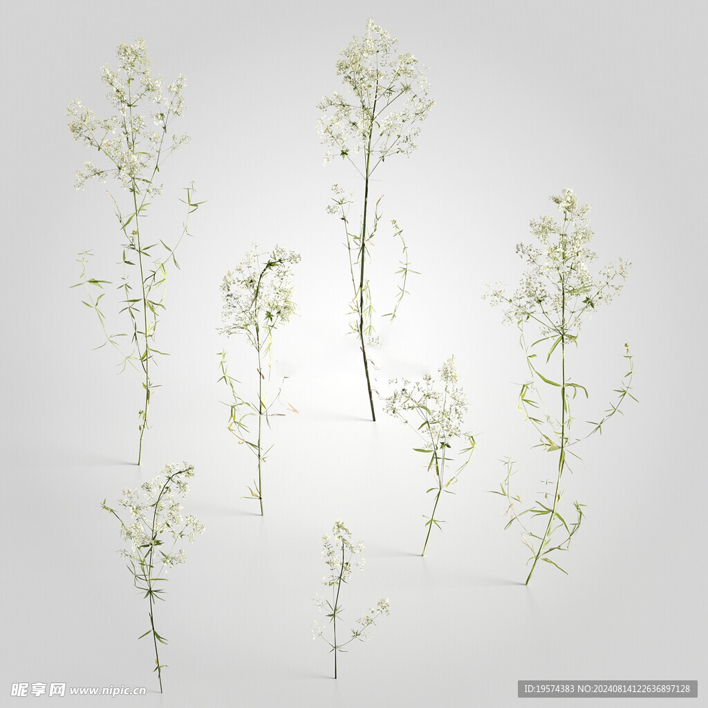 C4D模型 绿色植物