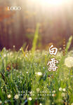 二十四节气 白露