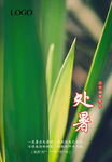 二十四节气 处暑