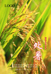 二十四节气 处暑