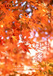 二十四节气 处暑