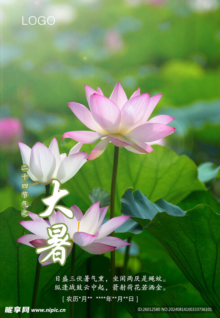 二十四节气 大暑