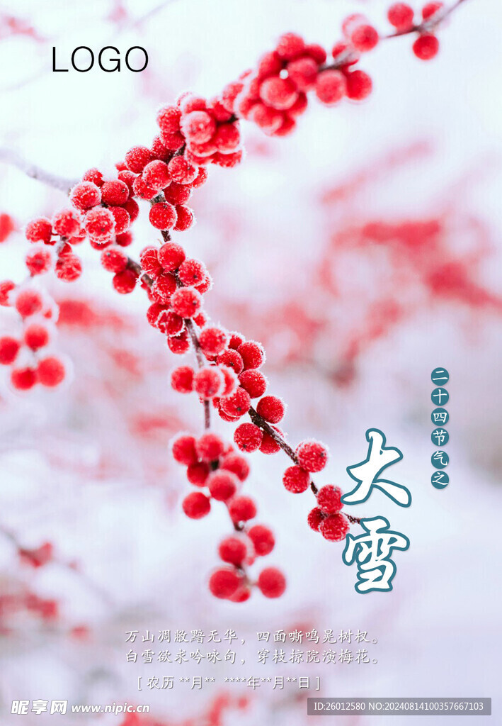 二十四节气 大雪