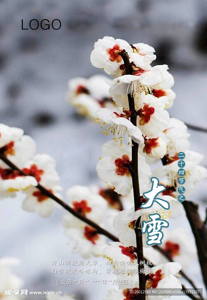 二十四节气 大雪