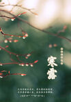 二十四节气 寒露