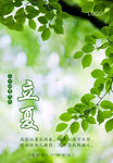 二十四节气 立夏