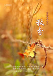二十四节气 秋分
