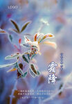 二十四节气 霜降