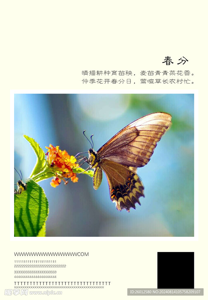 二十四节气 春分