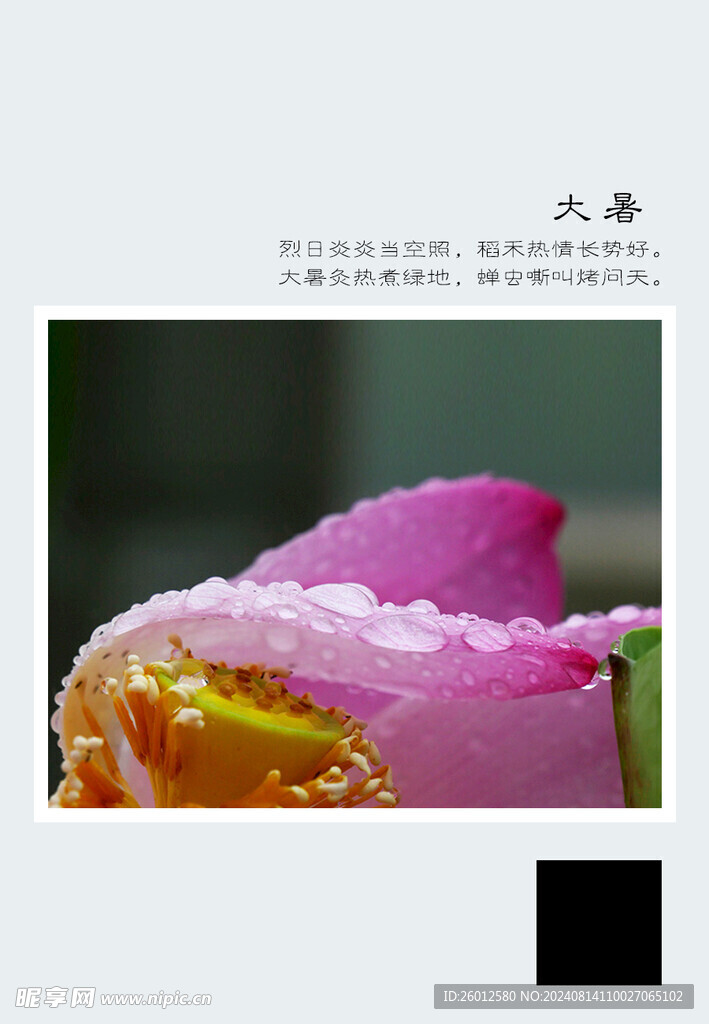 二十四节气 大暑