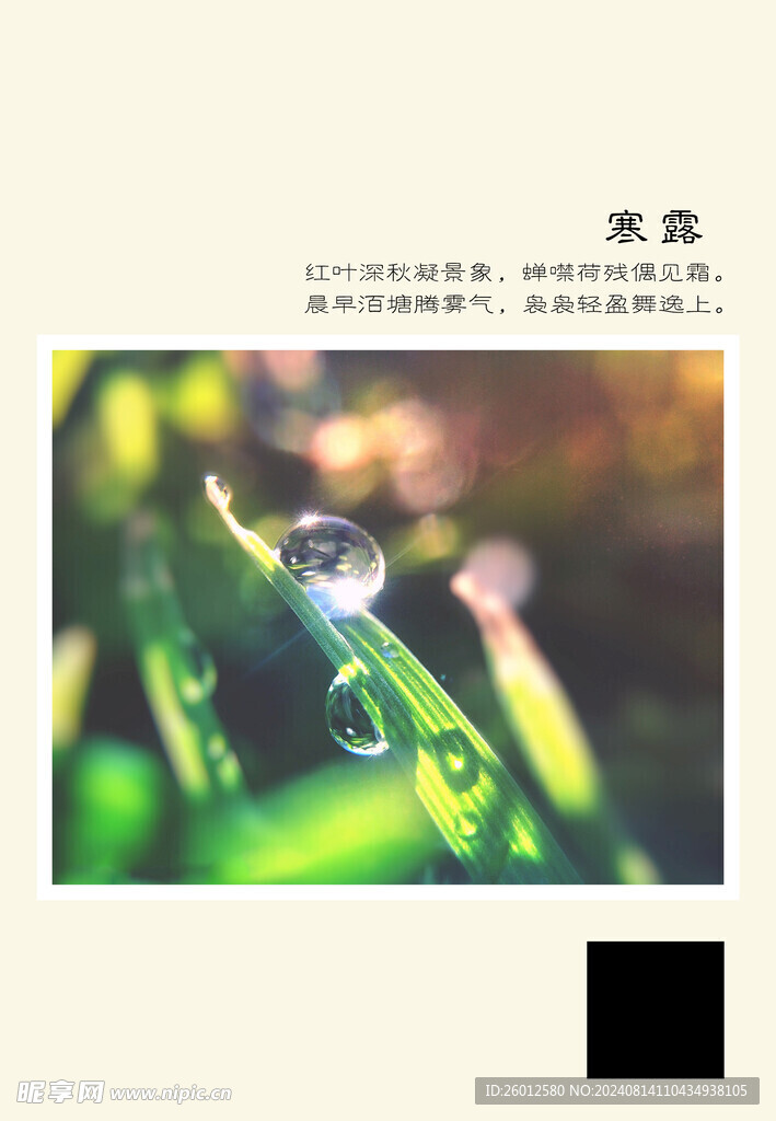 二十四节气 寒露