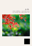 二十四节气 立秋
