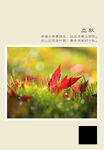 二十四节气 立秋
