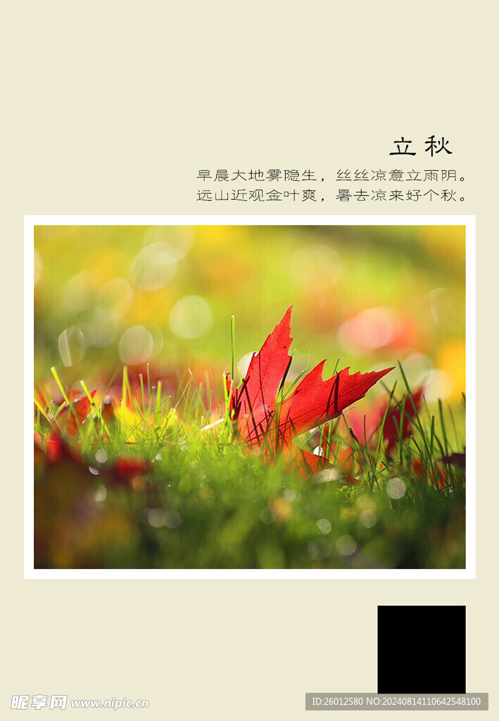 二十四节气 立秋