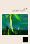 二十四节气 立夏