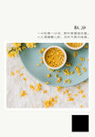 二十四节气 秋分
