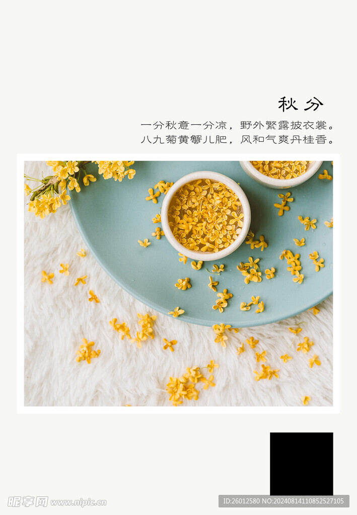 二十四节气 秋分