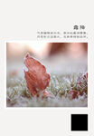 二十四节气 霜降