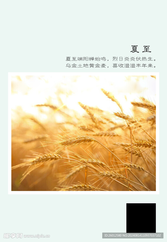二十四节气 夏至
