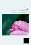 二十四节气 小暑