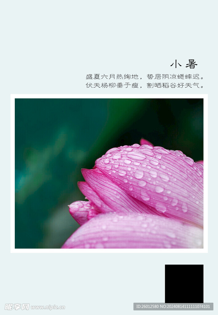 二十四节气 小暑