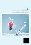 二十四节气 小雪